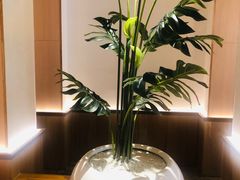 -森Some Fusion(荔湾店)
