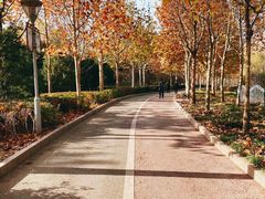 -滨河世纪广场公园