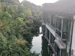 -老幺泉水鸡