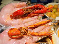 -虾胡闹·澳洲小龙虾·烧烤(福田鲨鱼店)