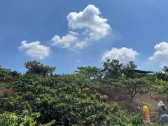 -桃源山庄·水蜜桃采摘·柴火鸡·烧烤团建(龙泉山店)
