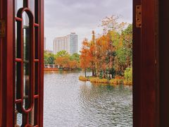 -荔湾湖公园