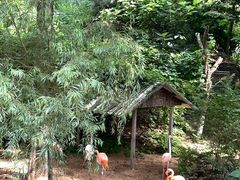 -西霞口神雕山野生动物世界