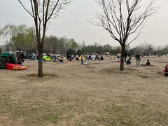 -东郊湿地公园