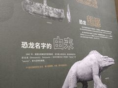 -衢州市博物馆