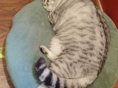 -H立方实景剧情密室(天河旗舰店)
