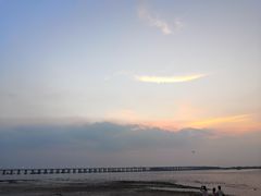 -宝安西湾红树林湿地公园