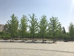 -永定河休闲森林公园