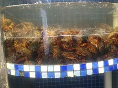-指爱龙虾(金杨路总店)