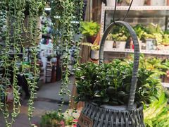 -花鸟鱼虫鲜花绿植市场(玉泉路店)