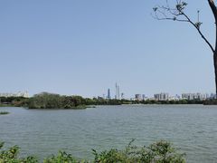 -海珠湖公园