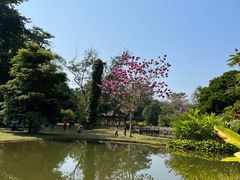 -中国科学院西双版纳热带植物园