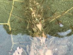 -苏州湾王焰温泉度假酒店