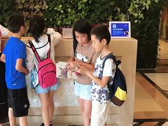 -三亚亚龙湾金棕榈度假酒店