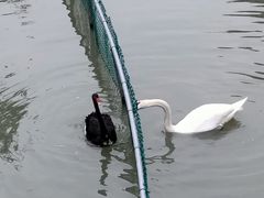 -宁波野生动物园