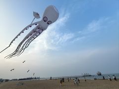 -天津东疆湾沙滩景区