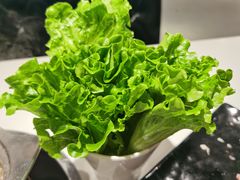 生菜-陈记顺和牛肉火锅(火车站店)
