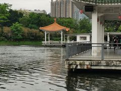 -荔湾湖公园