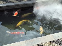 -西安市广仁寺