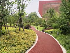 -上海财经大学(国定路校区)