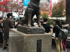 -涩谷区