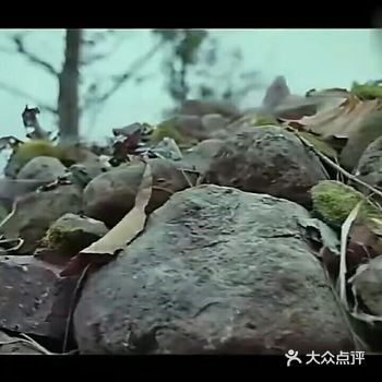 2020爱点评爱美食爱生活爱自己多一点 现在由于疫情