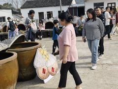 -苏州市吴中区光福窑上花果蜜饯厂