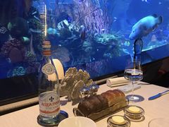 -迪拜帆船酒店海底餐厅