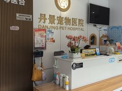 -丹景宠物医院·全科·老年病·牙科(武昌诊疗中心)