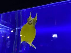 -大连圣亚海洋世界
