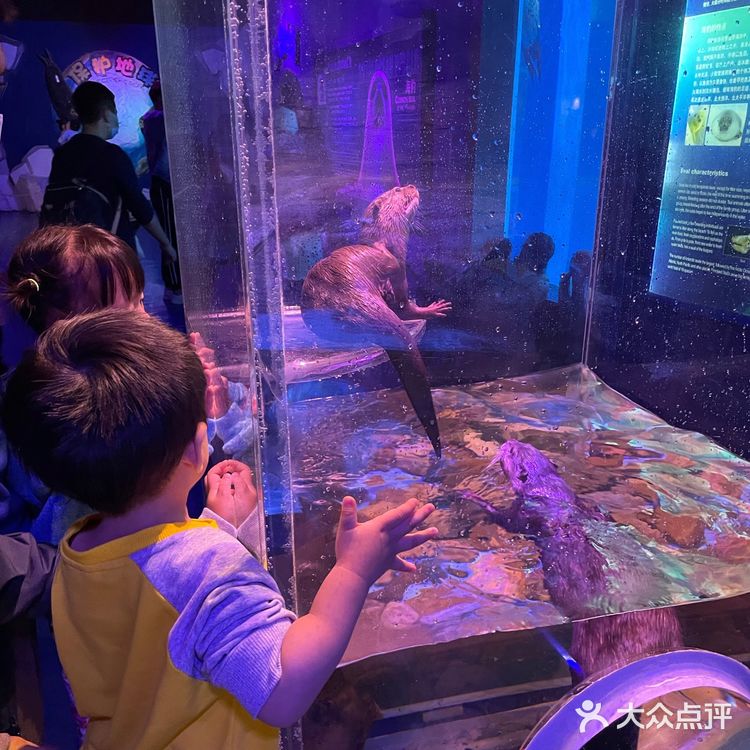 秋日遛娃海洋馆一日游