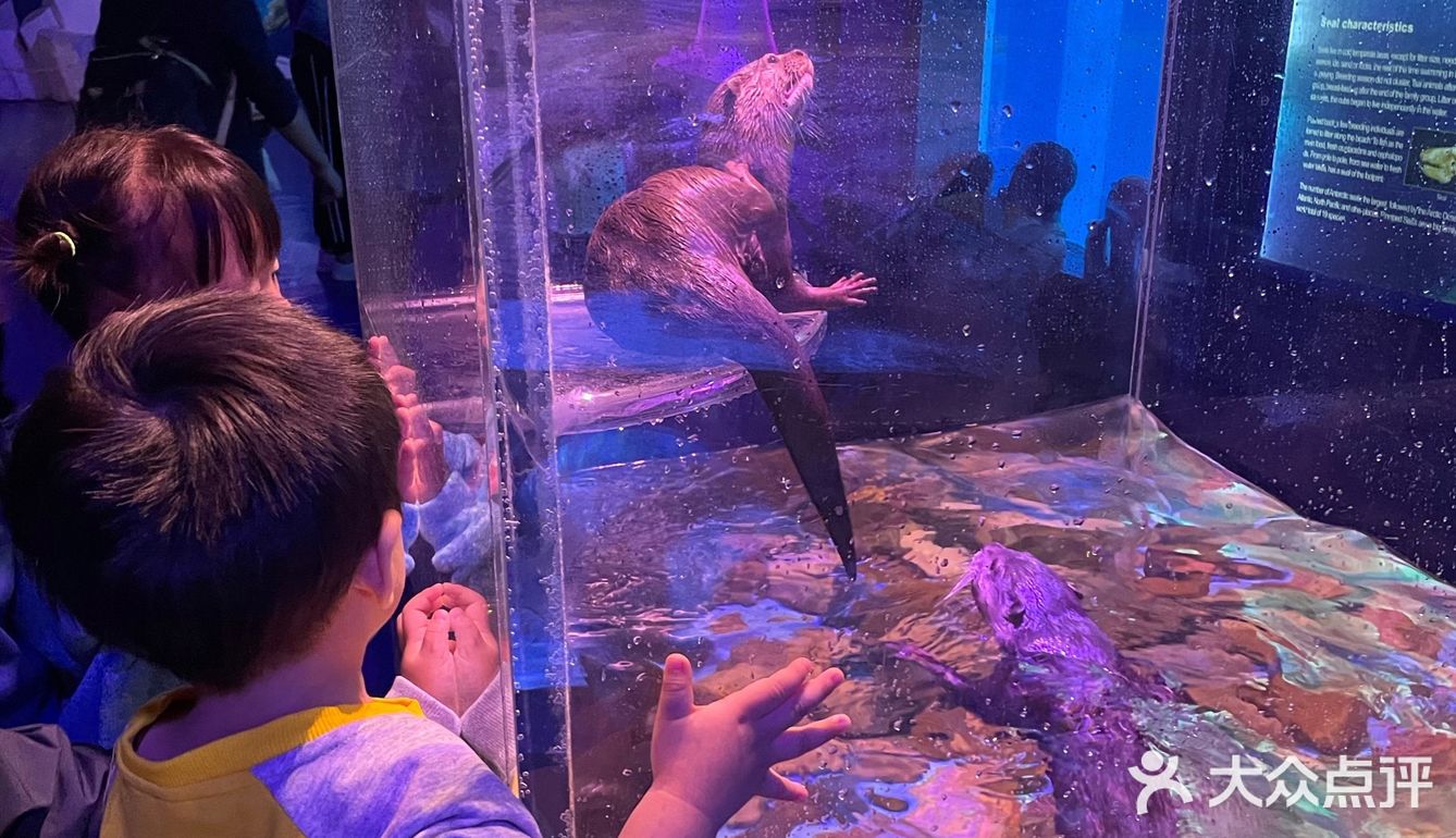 秋日遛娃海洋馆一日游