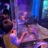 秋日遛娃海洋馆一日游