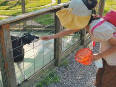 -前小桔亲子创意农场·草莓采摘·露营烧烤