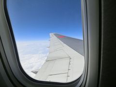 -全日本空输株式会社(上海办事处)