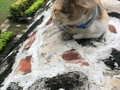 -圣佩德罗堡