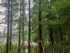 -重庆彩云湖湿地公园