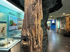 -大同煤炭博物馆