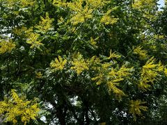 -山东师范大学(千佛山校区)
