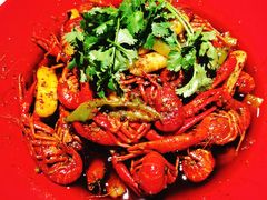 -红辣椒·川菜·火锅(张杨路店)