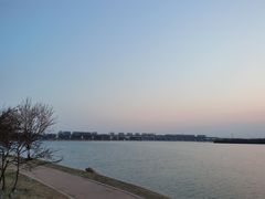 -丁香湖公园