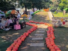 -HERRE·FARM 赫尔露营农场·团建聚会包场