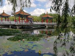 -长春市南湖公园