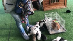 -萌宠亲子动物乐园(槐房万达店)