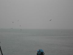 大海啊大海-栈桥景区