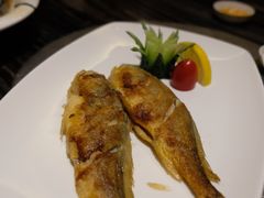-海逸海鲜酒家(古北店)