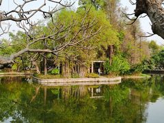 -晓港公园