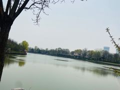 -塘沽森林公园