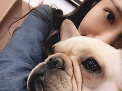 -柯斗斗主题餐厅·狗咖·围炉煮茶·茶饮(国瑞升平里店)