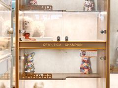 -翊宠yipet猫狗购宠庄园犬舍•猫舍